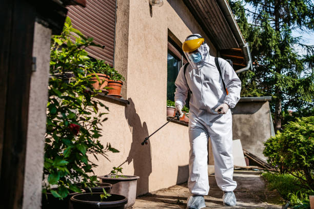 Best Pest Inspection Near Me  in Bay Hill, FL