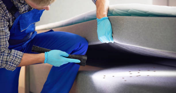Best Local Pest Control Services  in Bay Hill, FL