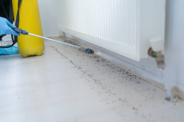 Reliable Bay Hill, FL Pest Control Solutions